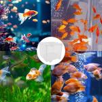 Roczential Fish Fry Breeding and Isolation Box