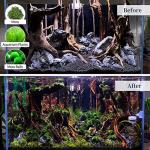 Natural Driftwood for Aquarium and Reptile Decor
