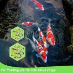 5pcs Foam Fish Feeding Rings for Aquariums