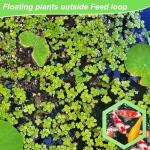 5pcs Foam Fish Feeding Rings for Aquariums