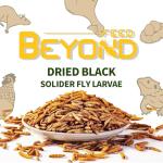 BeyondFeed™ Dried Black Soldier Fly Larvae - 35g