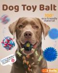 Sashion Interactive Dog Chew Toy Set - 23 Packs