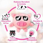 PeppyPawz 3-in-1 Squeaky Plush Dog Toy