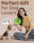 Sashion Interactive Dog Chew Toy Set - 23 Packs