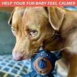 Indestructible Dog Bear Toy for Heavy Chewers