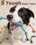 Sashion Interactive Dog Chew Toy Set - 23 Packs