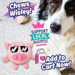 PeppyPawz 3-in-1 Squeaky Plush Dog Toy