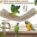 Seagrass Bird Mat and Chew Toy Hammock