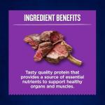 Kangaroo Jerky Strips for Dogs 165g