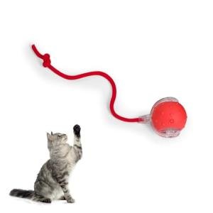 Upgraded Cat Toy Ball with Bird Sound