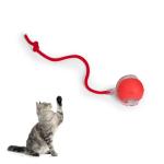 Upgraded Cat Toy Ball with Bird Sound