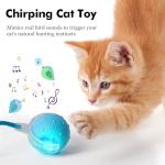 Upgraded Cat Toy Ball with Bird Sound