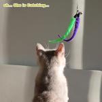 Kalimdor Interactive Feather Teaser Toy for Cats