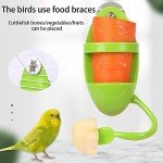 2-Pack Parrot Cuttlebone Holder with Perches