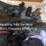 Heated Dog Bed Mat - Waterproof & Easy Clean