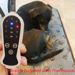 Heated Dog Bed Mat - Waterproof & Easy Clean