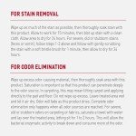 Nature's Miracle Stain & Odor Remover for Pets