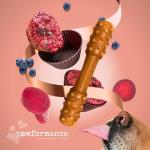 Pawformance Dental Treats for Medium Dogs - Sample Pack