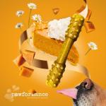 Pawformance Dental Treats for Medium Dogs - Sample Pack