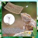 Bearded Dragon Hammock with Suction Cups - 2 Pack