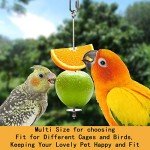2-Pack Stainless Steel Bird Food Skewers
