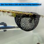 Floating Betta Fish Feeder and Hiding Cave