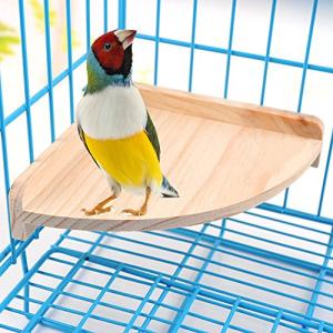 Wooden Bird Perch Stand for Small Pets