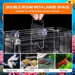 Large Aquarium Fish Breeding Box with Divider