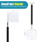 AQUANEAT Shrimp and Fish Net with Extendable Handle