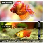 Fish Tank Thermometer Temperature Strip - Dual Scale