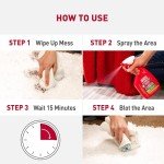 Nature's Miracle Stain & Odor Remover for Pets