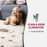 Nature's Miracle Stain & Odor Remover for Pets