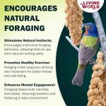 Millet Spray Treat for Budgies and Pet Birds