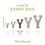 Benebone Wishbone Chew Toy for Aggressive Chewers