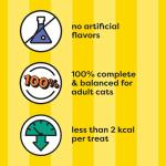 Temptations Chicken Flavor Cat Treats, 30 oz