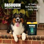 Nutramax Dasuquin Soft Chews for Small/Medium Dogs