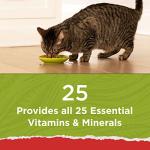 Gluten-Free Cat Food for Healthy Weight 13 lbs