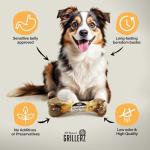 Scott Pet Products Femur Bone Wrapped for Pets