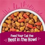 Purina Friskies Gravy Swirlers Dry Cat Food