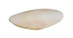 Medium 5-Inch Bird Cuttlebone by Prevue