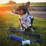 Pogi's Dog Poo Bag Holder with Carabiner Clip