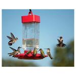 Kaytee Electro Nectar Hummingbird Bird Feed 64oz