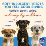 Peanut Butter Himalayan Yogurt Dog Chew Sticks