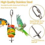 2-Pack Stainless Steel Bird Food Skewers