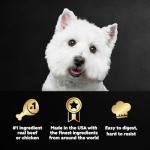 CESAR Soft Wet Dog Food Variety Pack 24-Tray