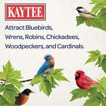 Kaytee Mealworms for Wild Birds 3.5 Ounce