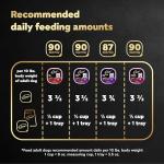 CESAR Soft Wet Dog Food Variety Pack 24-Tray