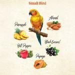 Kaytee Wild Natural Snack Treats for Birds, 3 oz