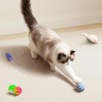 YULOYI 34-Pack Interactive Cat Toy Set