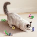 YULOYI 34-Pack Interactive Cat Toy Set